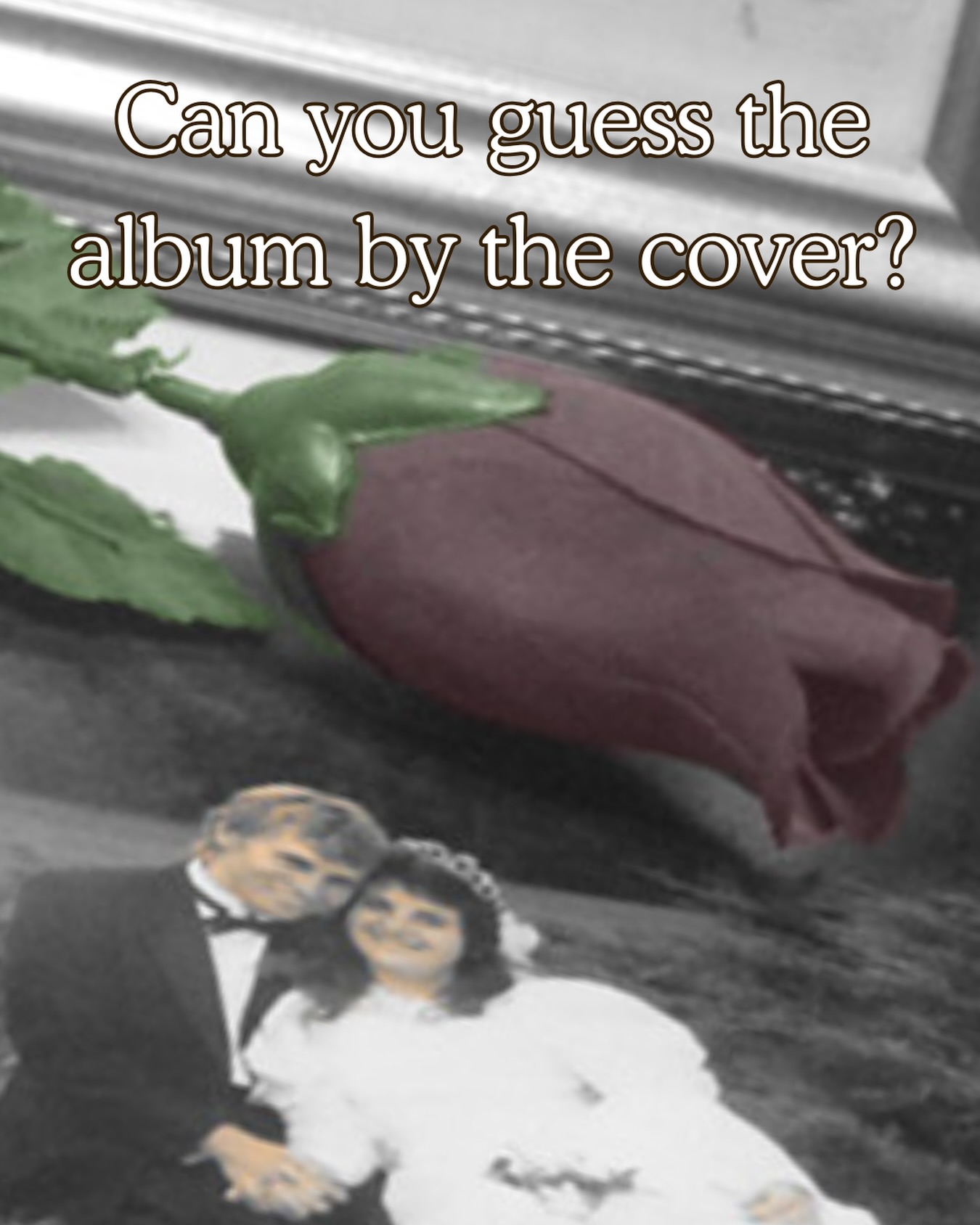 D’Friesens Countdown to Christmas Day 11 & 12
Can you guess the album by its cover?
Above is a zoomed in image of one of our albums, leave your guess down in the poll, in our story or comment your guess down below!
#dfriesensmusic #multinational1985 #countdowntochristmas